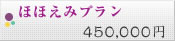 ほほえみプラン 450,000円