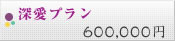 深愛プラン 600,000円