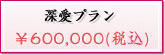 深愛プラン【\600,000(税込)】